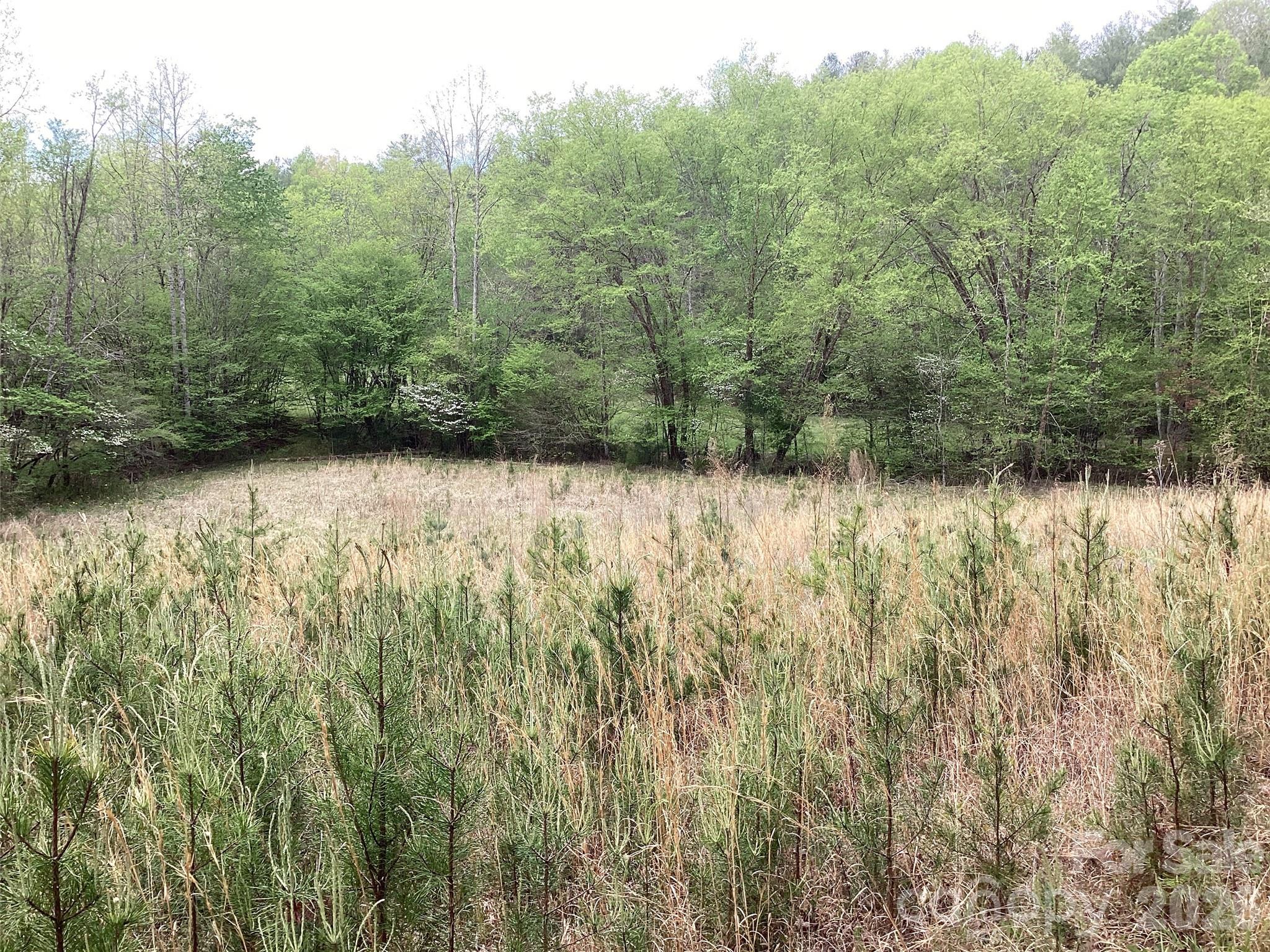4017 Piney Road Morganton NC 28655