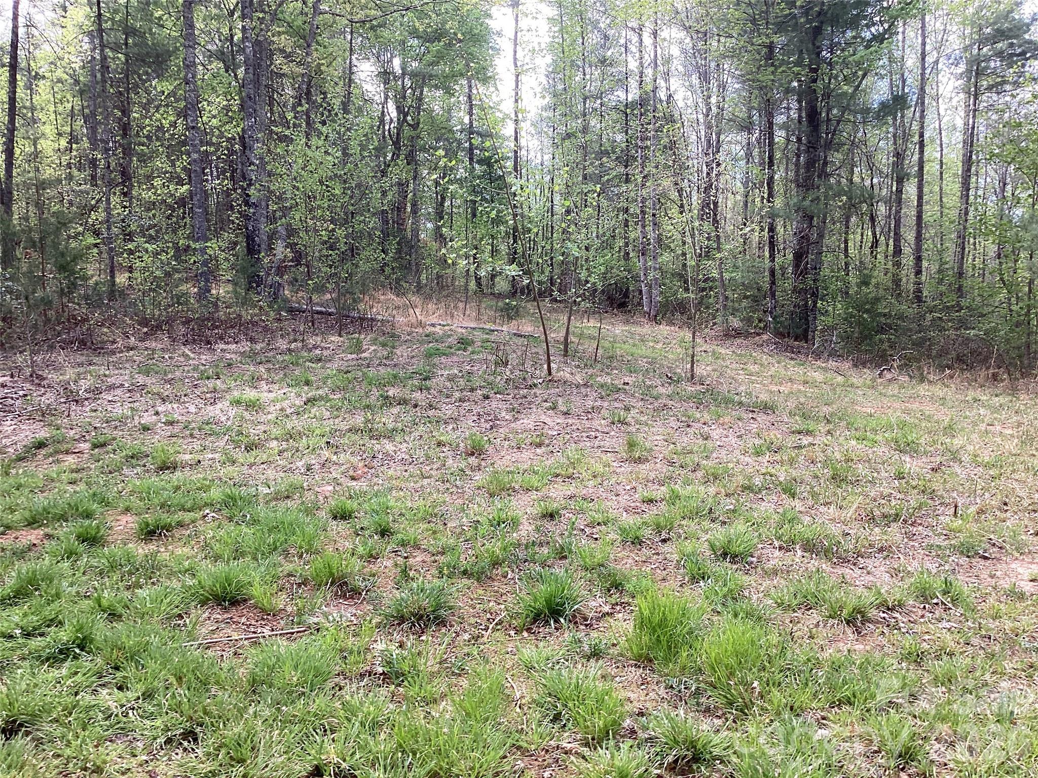 4017 Piney Road Morganton NC 28655