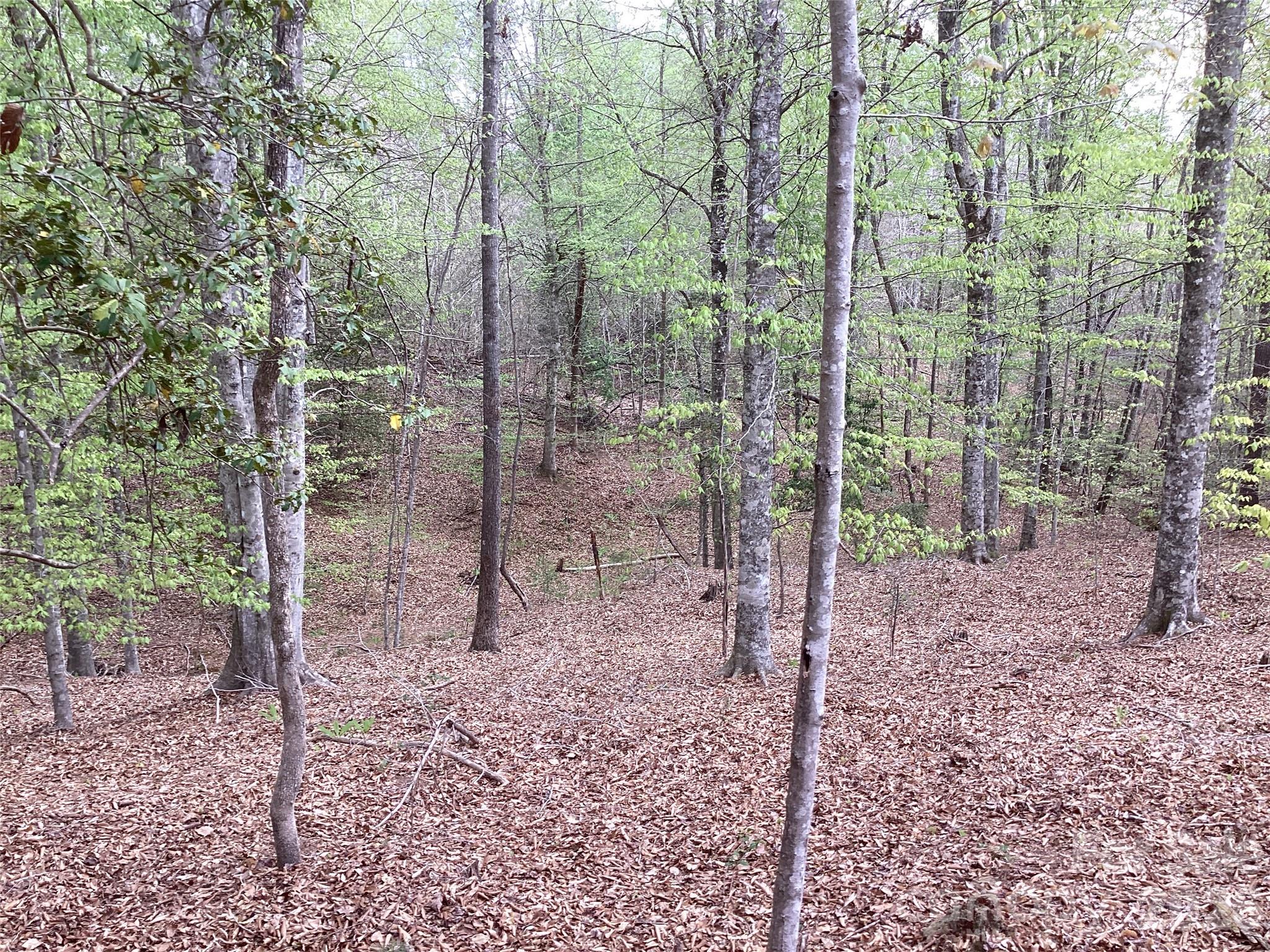 4017 Piney Road Morganton NC 28655