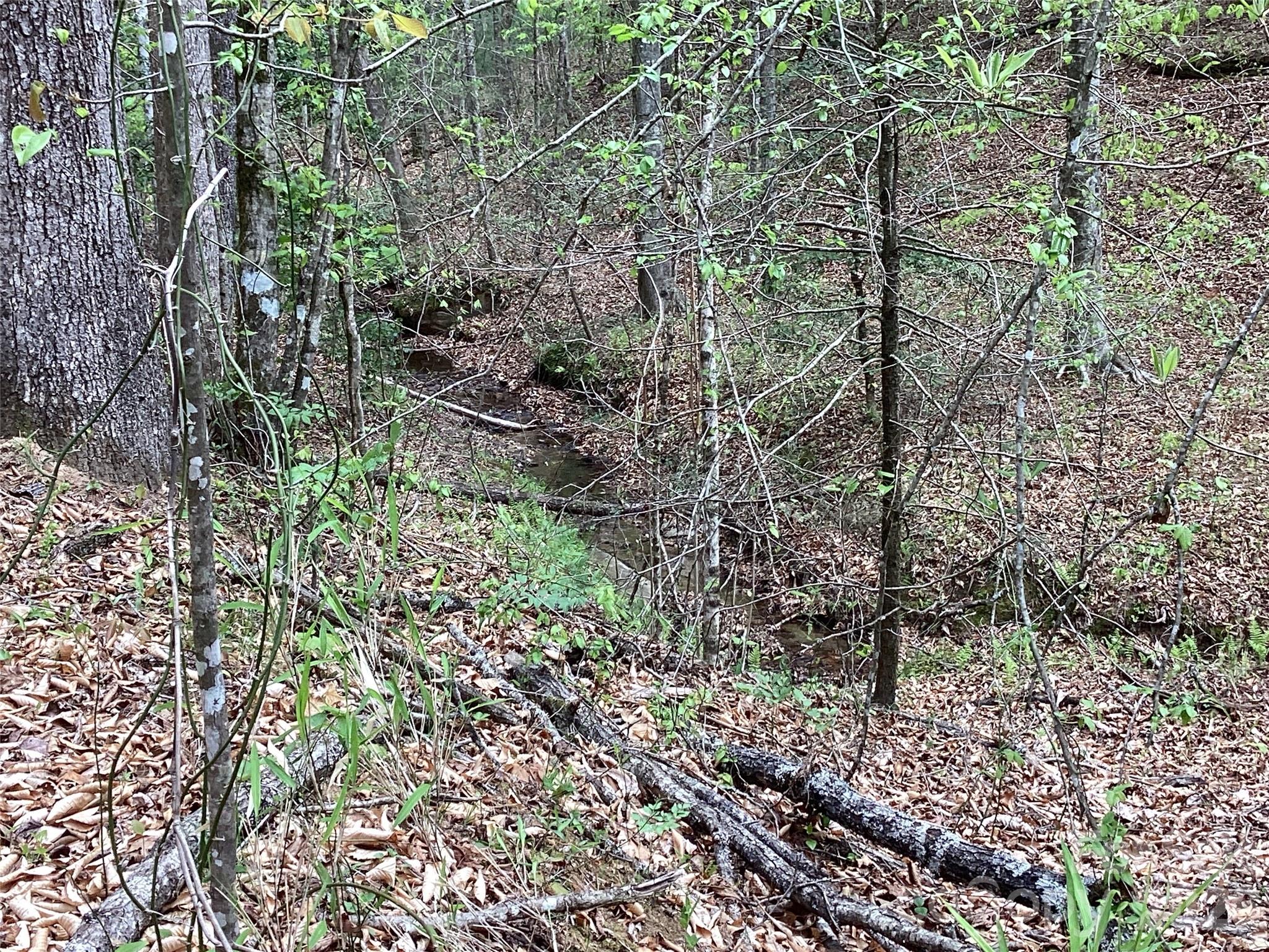 4017 Piney Road Morganton NC 28655