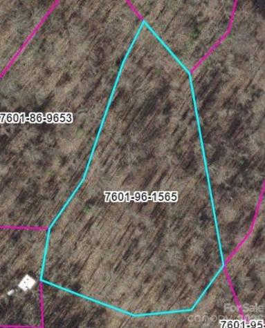 Trail B Barkers Creek Road Whittier NC 28789