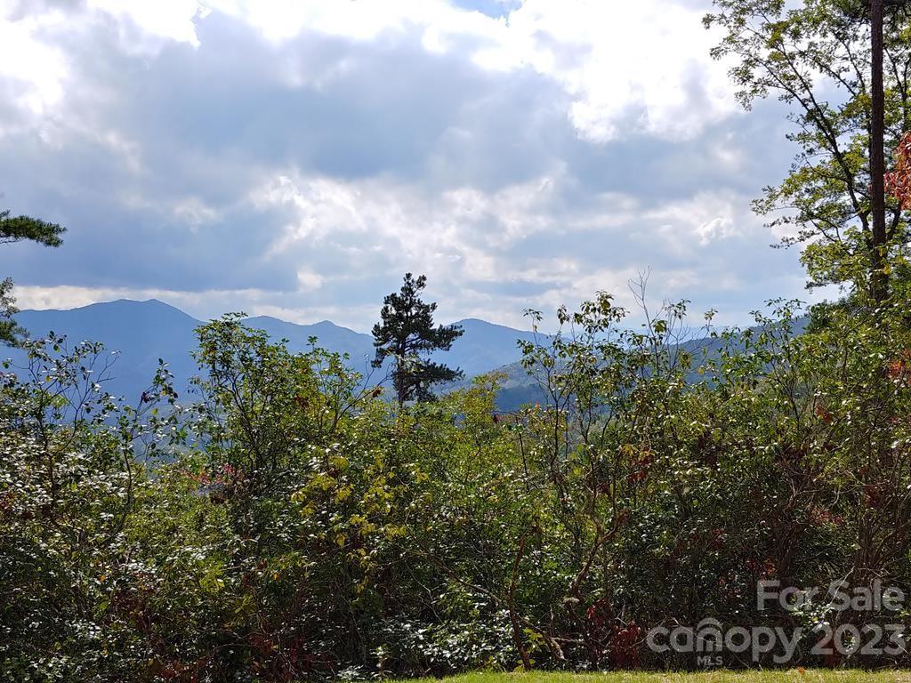 Lot 42 The Knoll Bryson City NC 28713