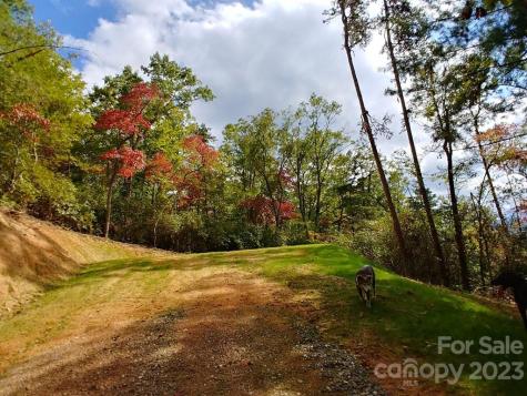Lot 42 The Knoll Bryson City NC 28713