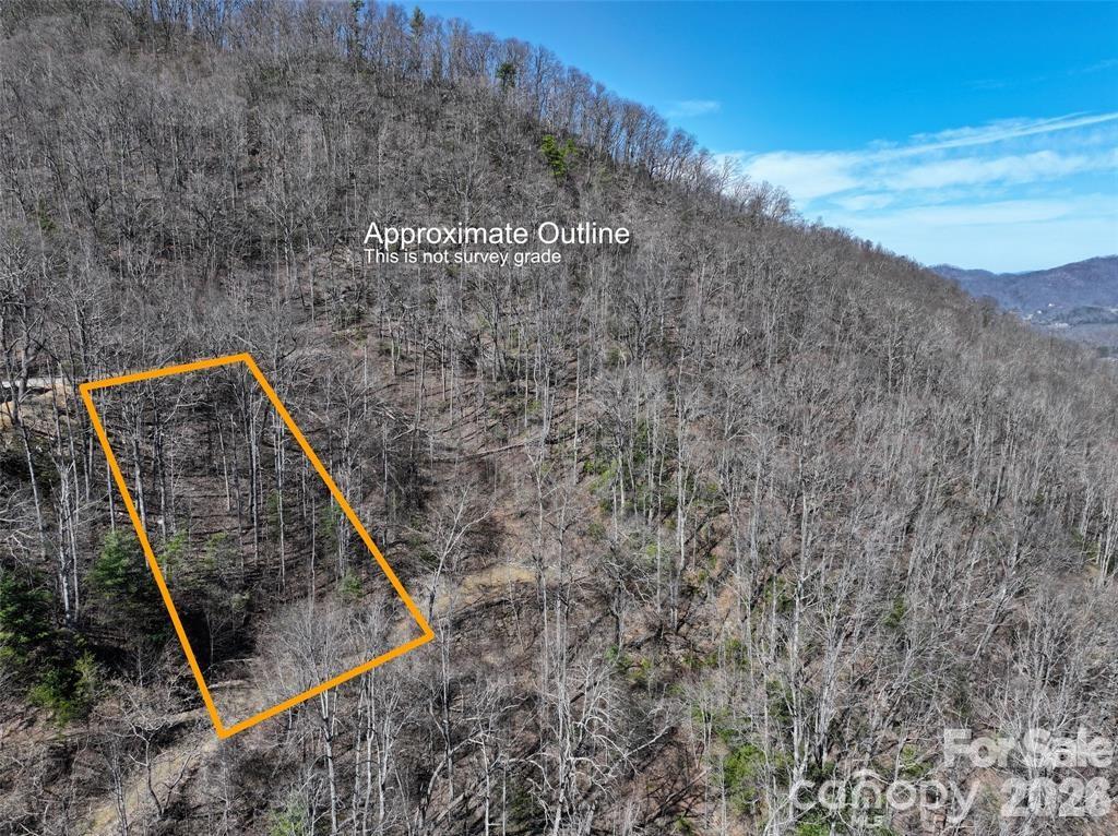 11 Taryn Trace Barnardsville NC 28709