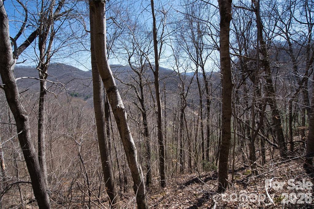 11 Taryn Trace Barnardsville NC 28709