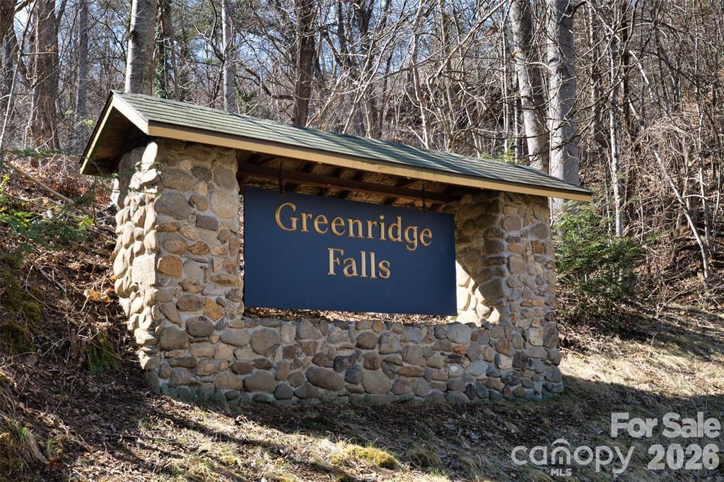 11 Taryn Trace Barnardsville NC 28709