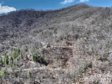 11 Taryn Trace Barnardsville NC 28709