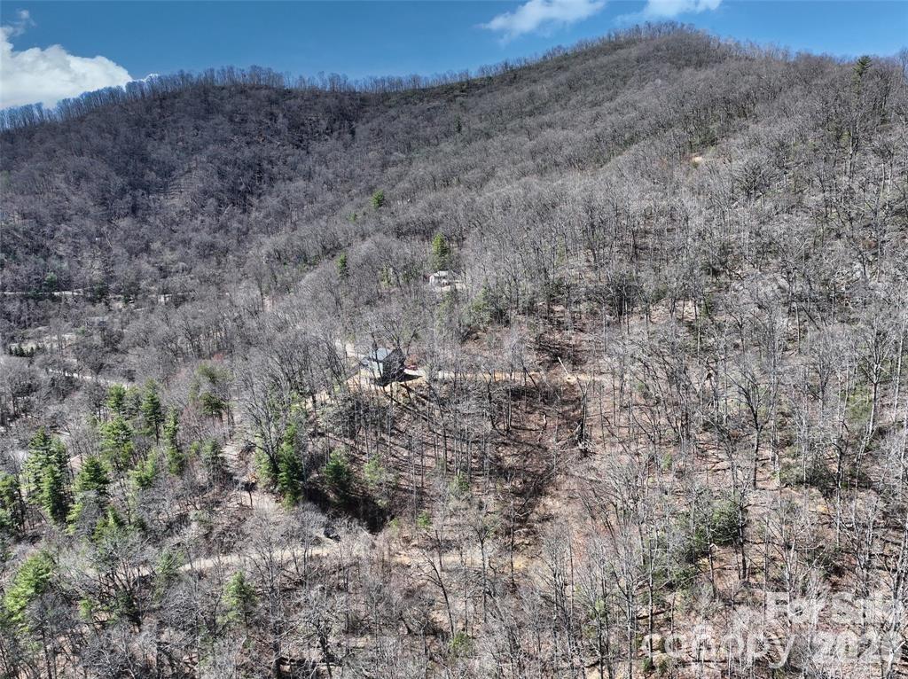 11 Taryn Trace Barnardsville NC 28709