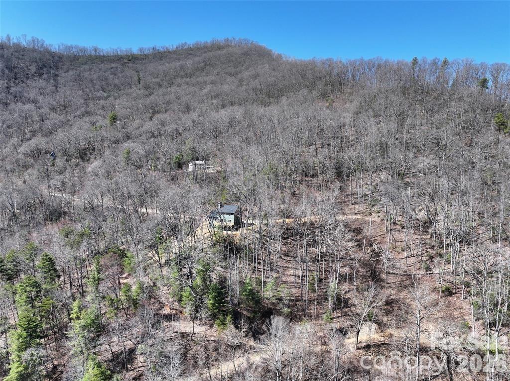11 Taryn Trace Barnardsville NC 28709