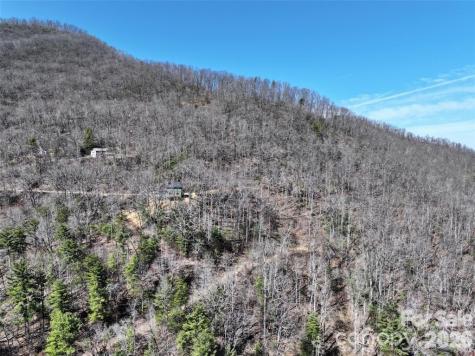 11 Taryn Trace Barnardsville NC 28709