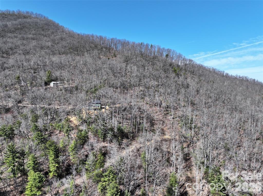 11 Taryn Trace Barnardsville NC 28709