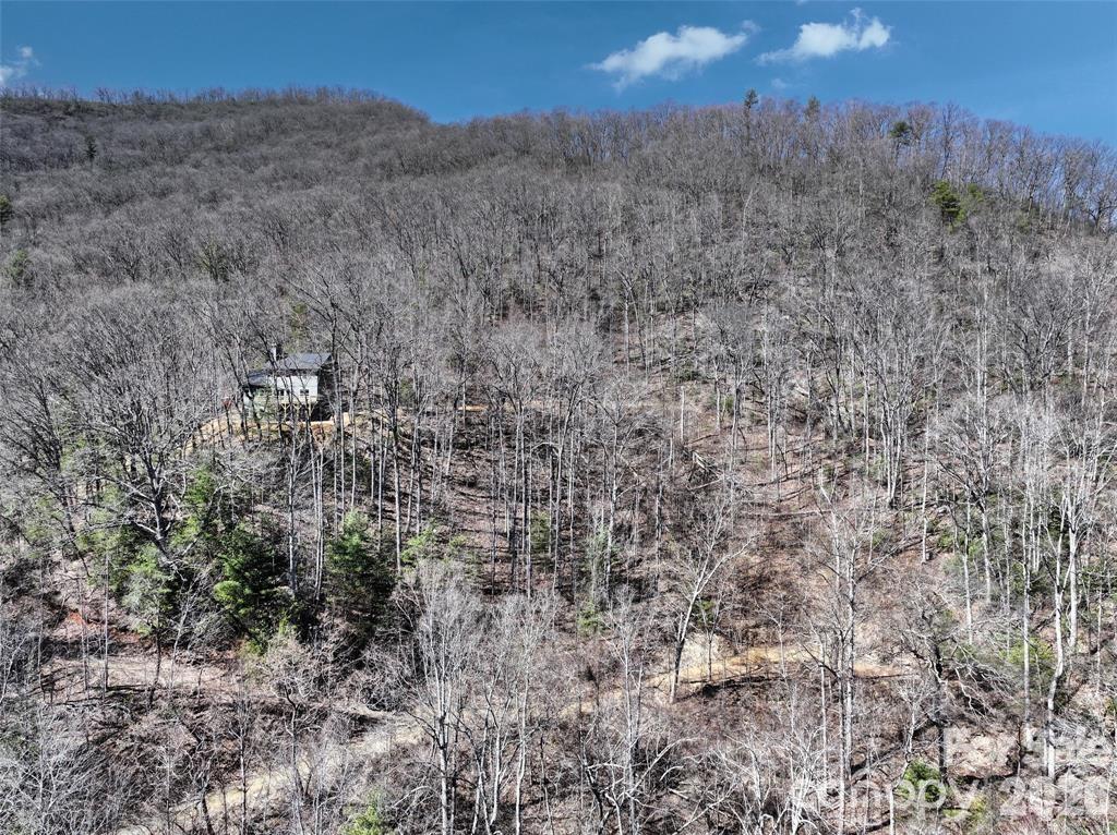 11 Taryn Trace Barnardsville NC 28709