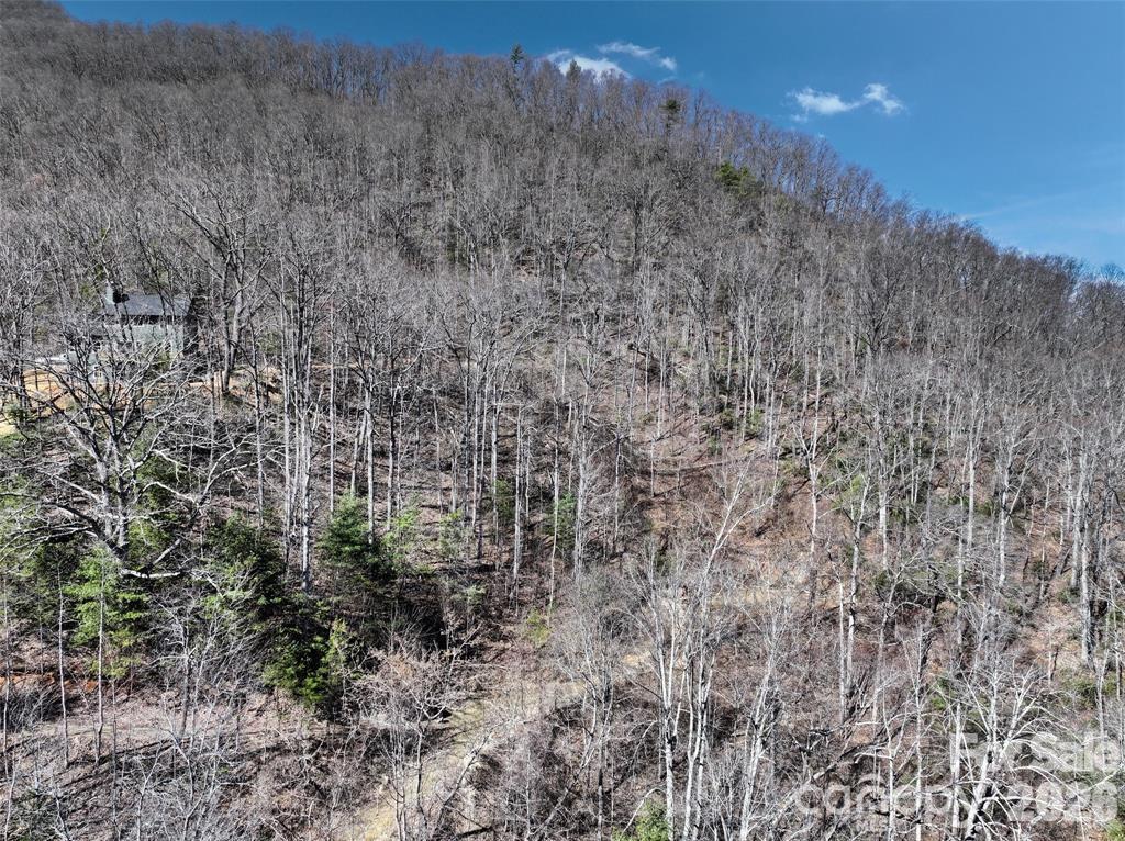 11 Taryn Trace Barnardsville NC 28709
