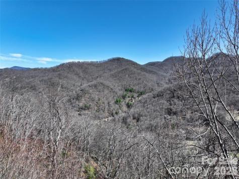11 Taryn Trace Barnardsville NC 28709