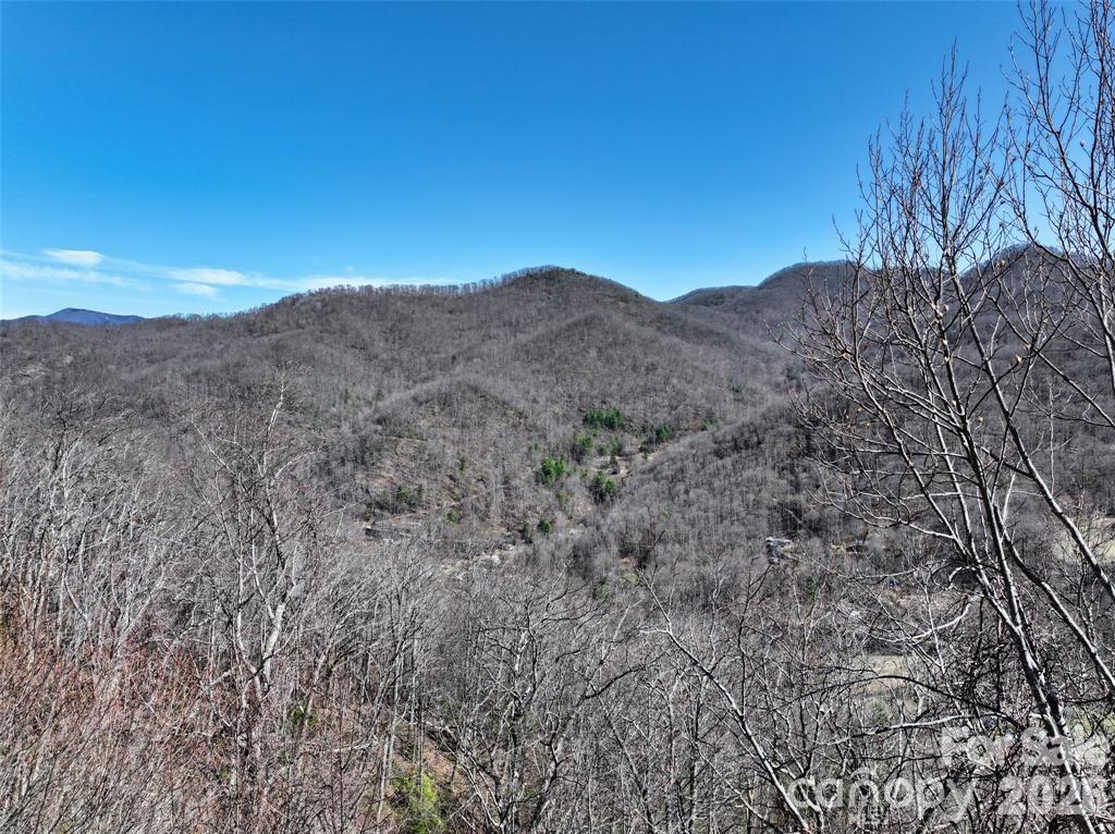 11 Taryn Trace Barnardsville NC 28709