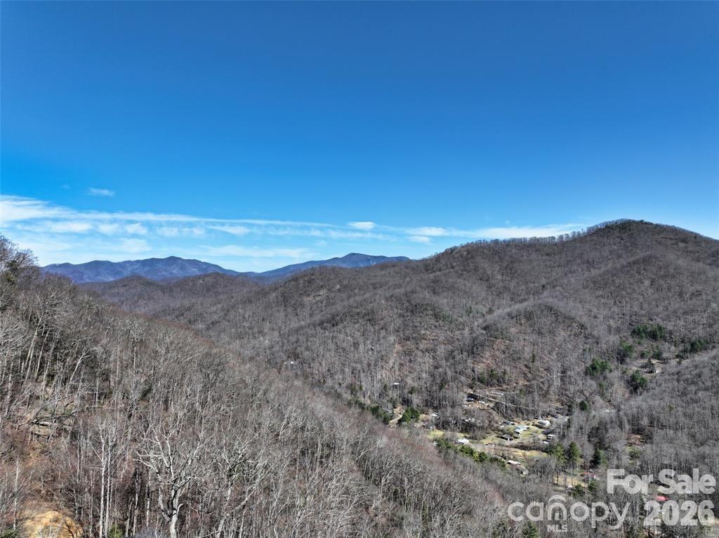 11 Taryn Trace Barnardsville NC 28709
