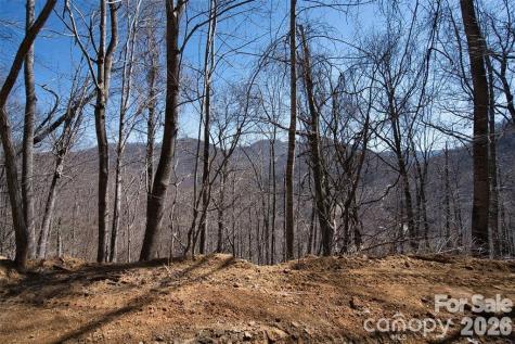 11 Taryn Trace Barnardsville NC 28709