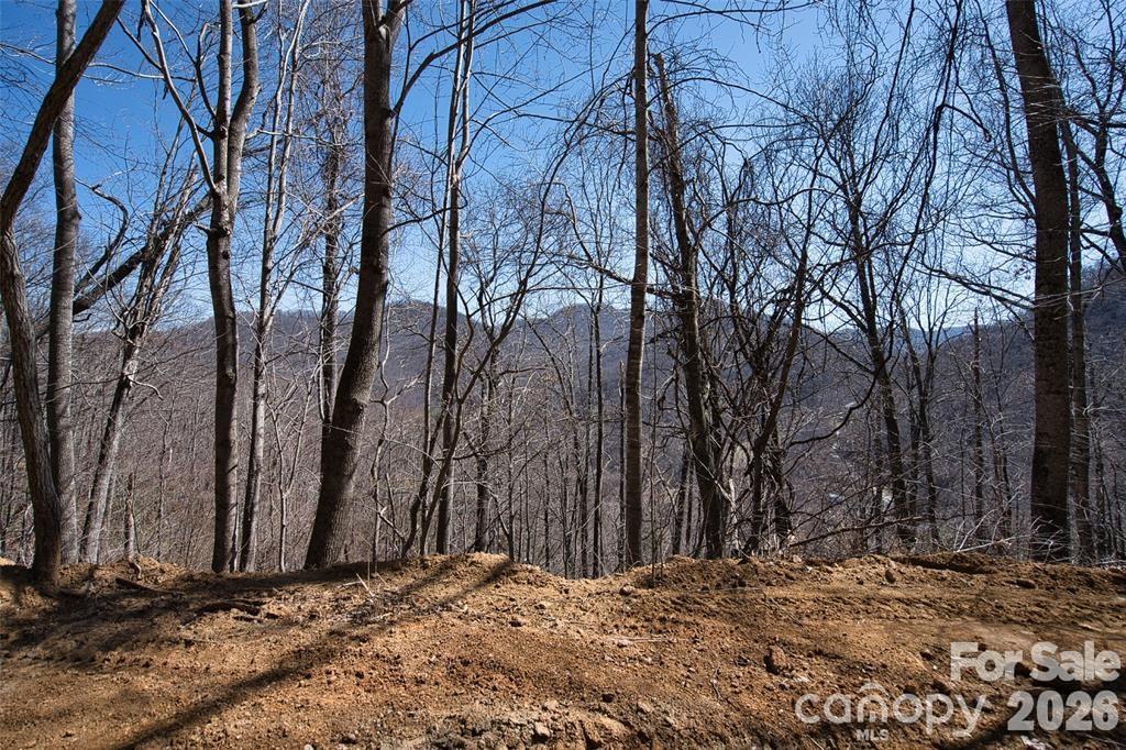 11 Taryn Trace Barnardsville NC 28709