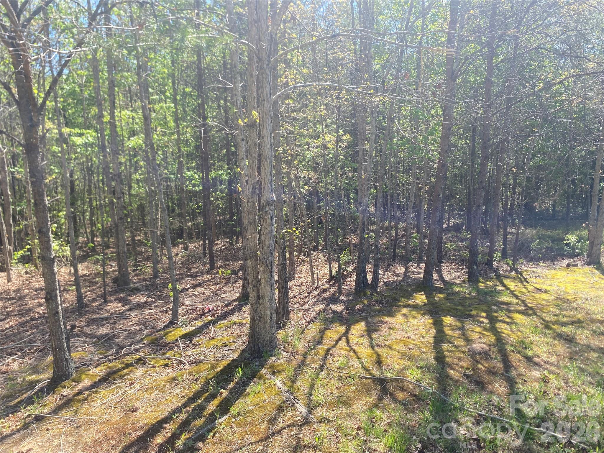 4209 Bennett Road Morganton NC 28655