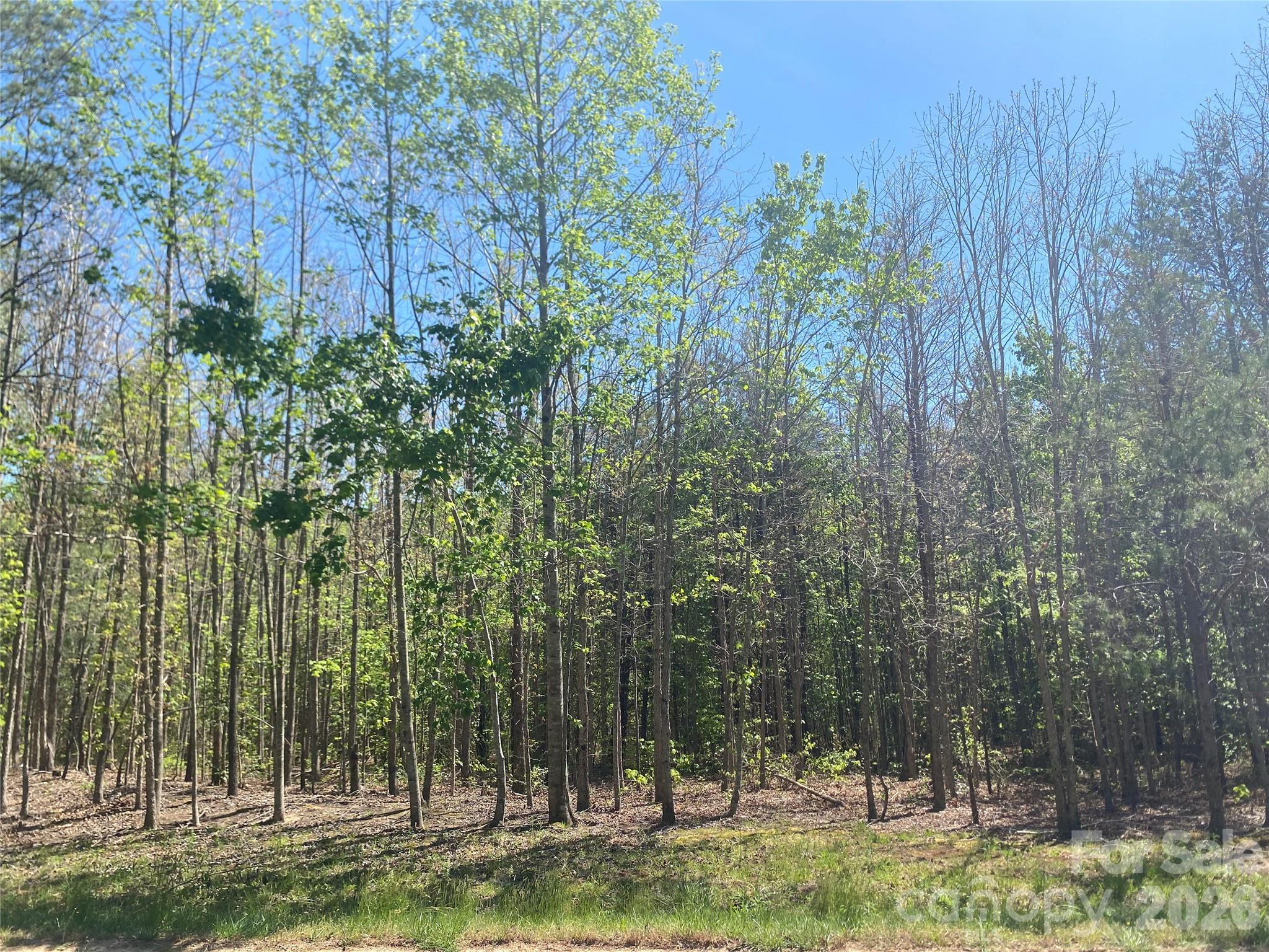 4209 Bennett Road Morganton NC 28655