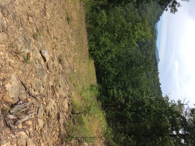 205 Blueberry Lane Swannanoa NC 28778
