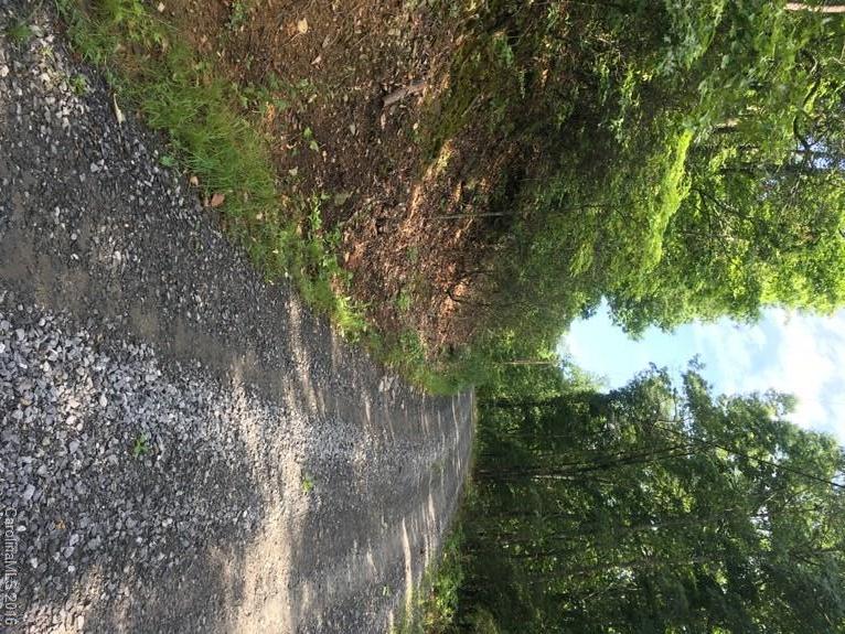 205 Blueberry Lane Swannanoa NC 28778