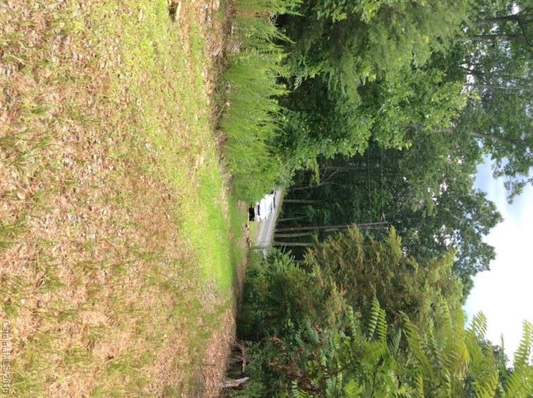 205 Blueberry Lane Swannanoa NC 28778