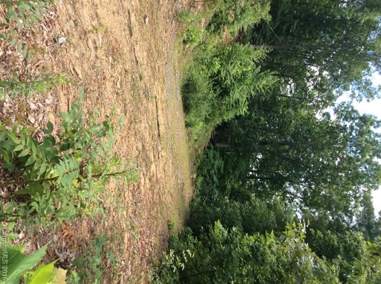 205 Blueberry Lane Swannanoa NC 28778