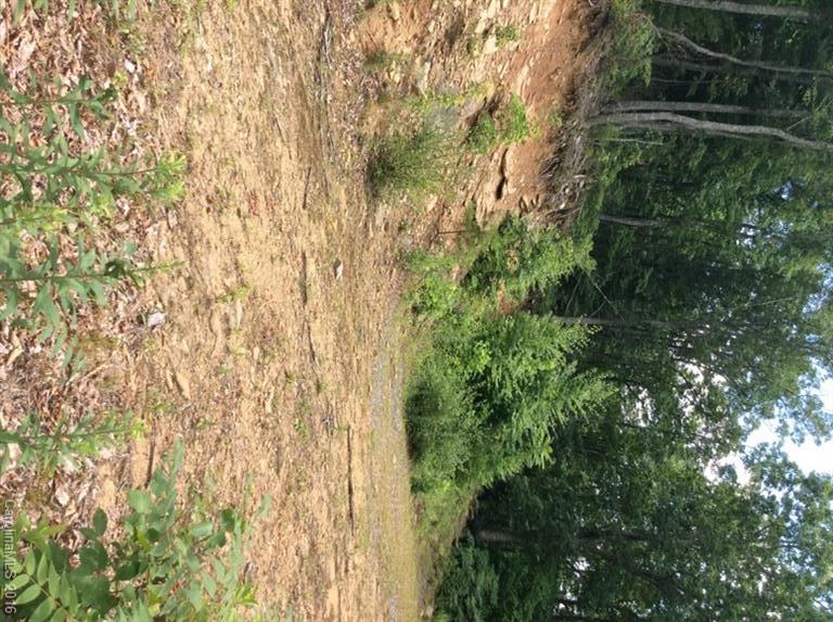 205 Blueberry Lane Swannanoa NC 28778