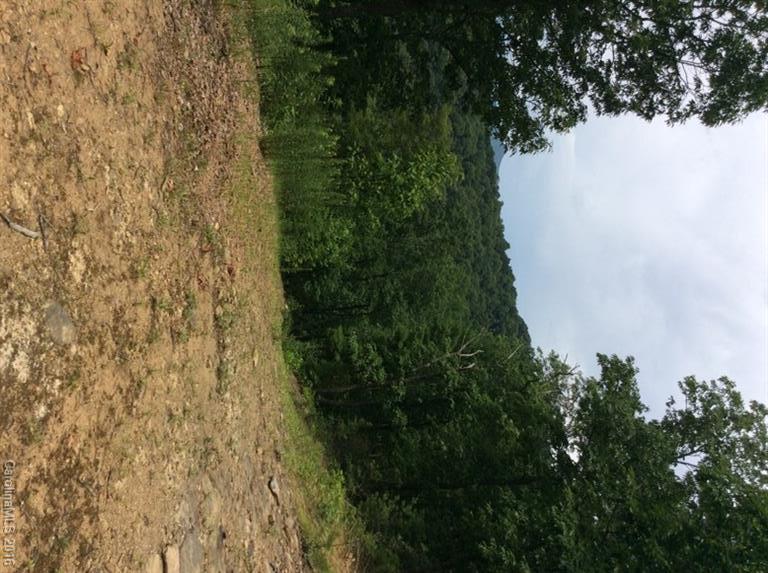 205 Blueberry Lane Swannanoa NC 28778