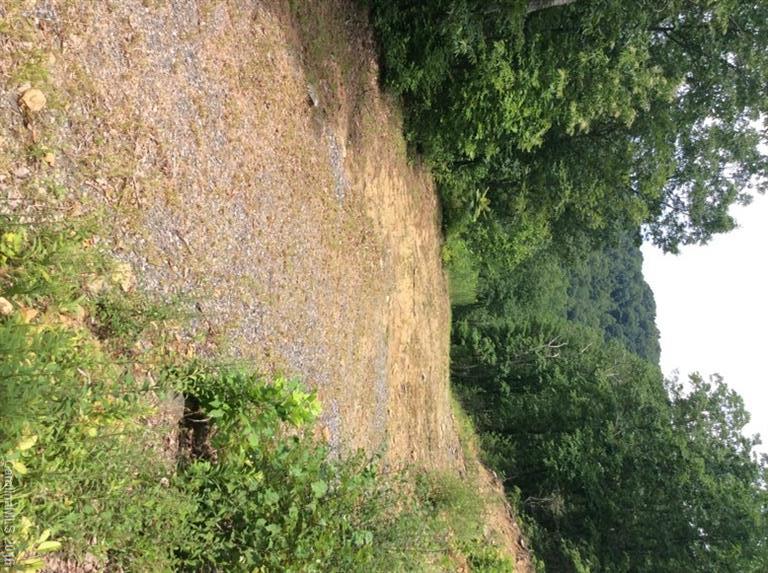 205 Blueberry Lane Swannanoa NC 28778