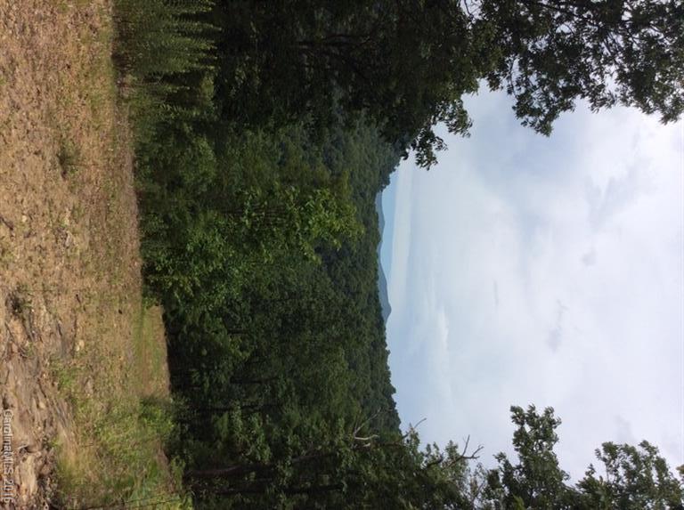 205 Blueberry Lane Swannanoa NC 28778