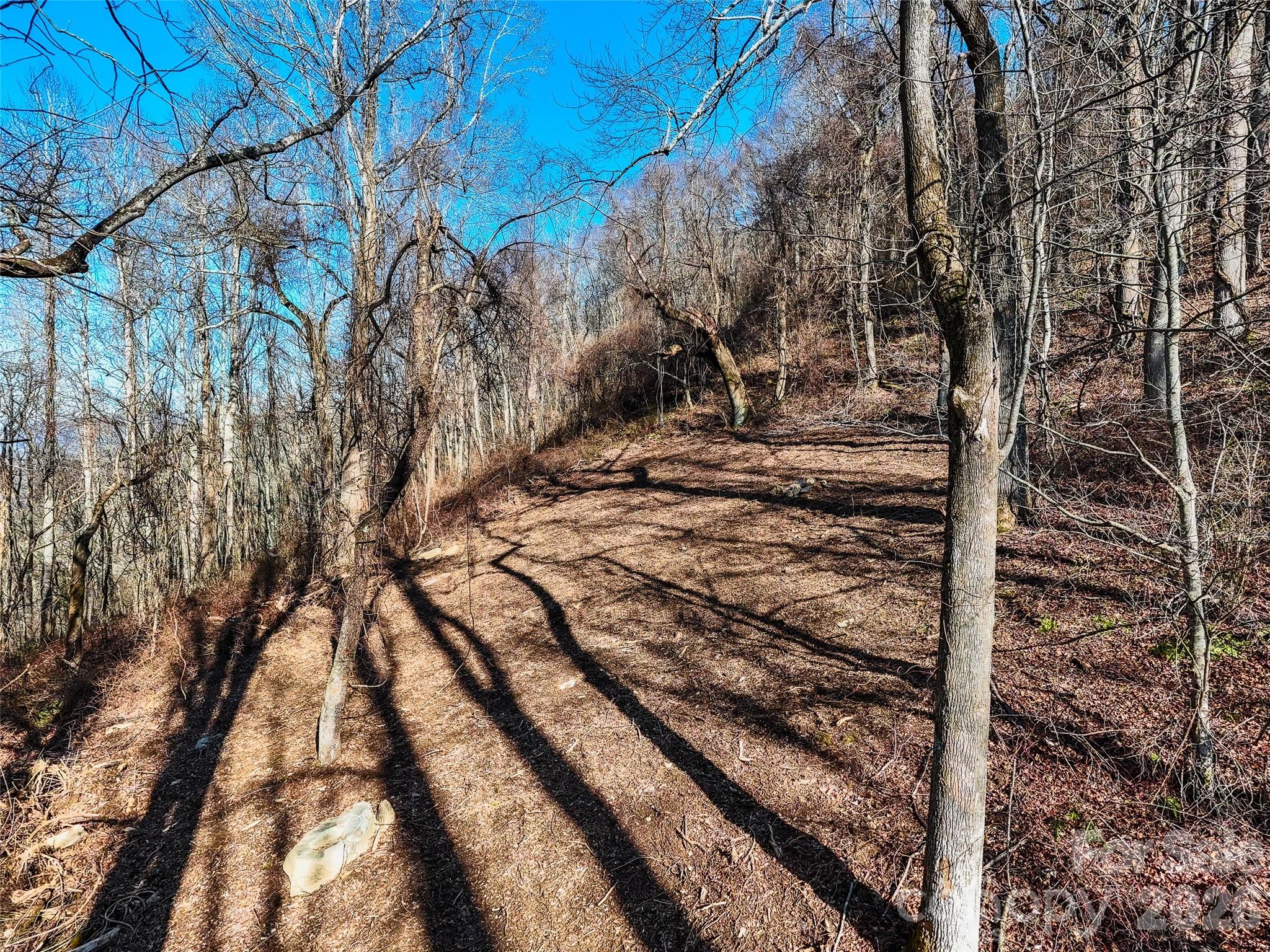 58 & 64 Flora Rose Trail Asheville NC 28803