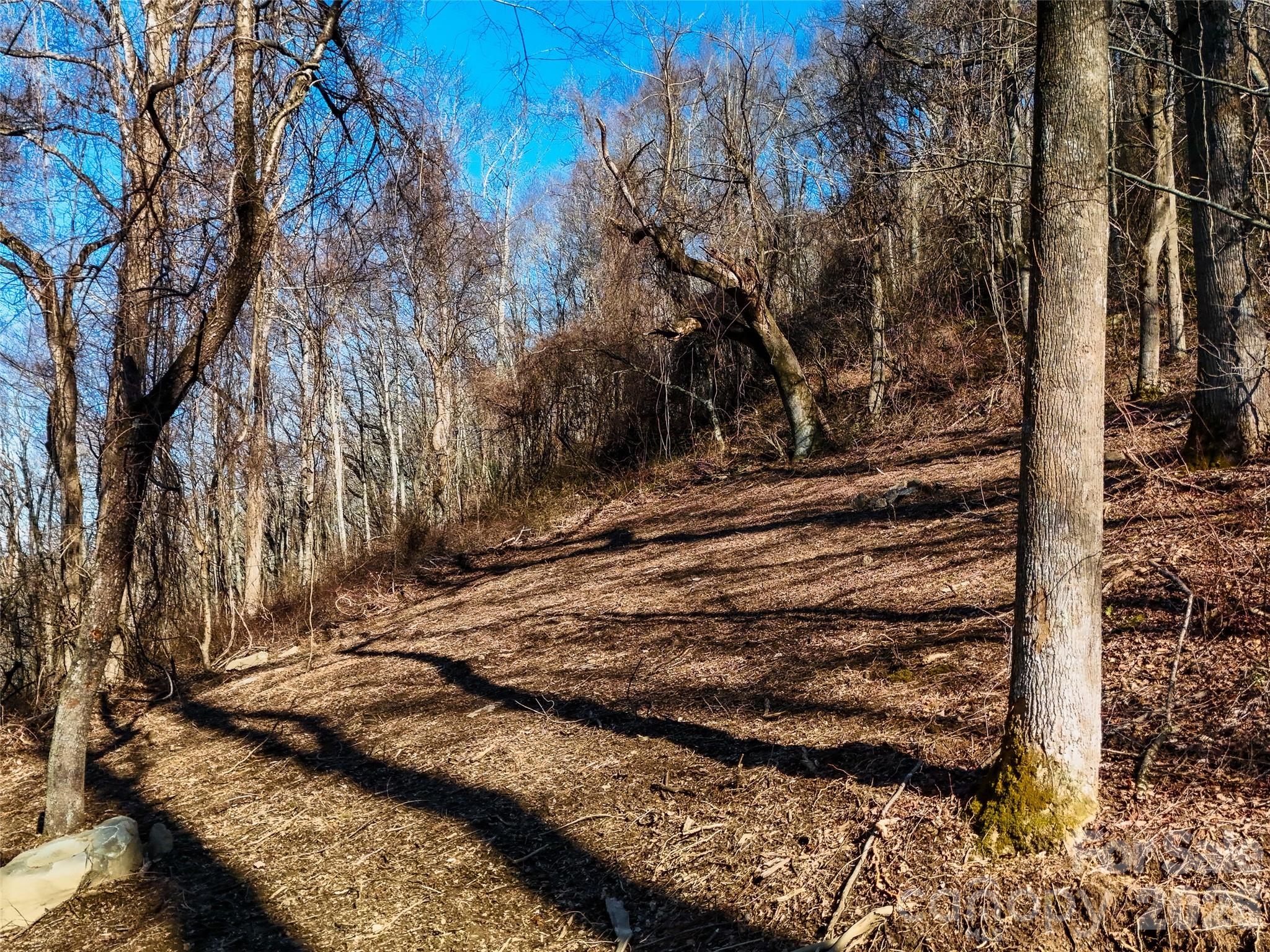58 & 64 Flora Rose Trail Asheville NC 28803