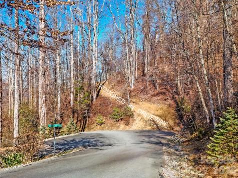 58 & 64 Flora Rose Trail Asheville NC 28803