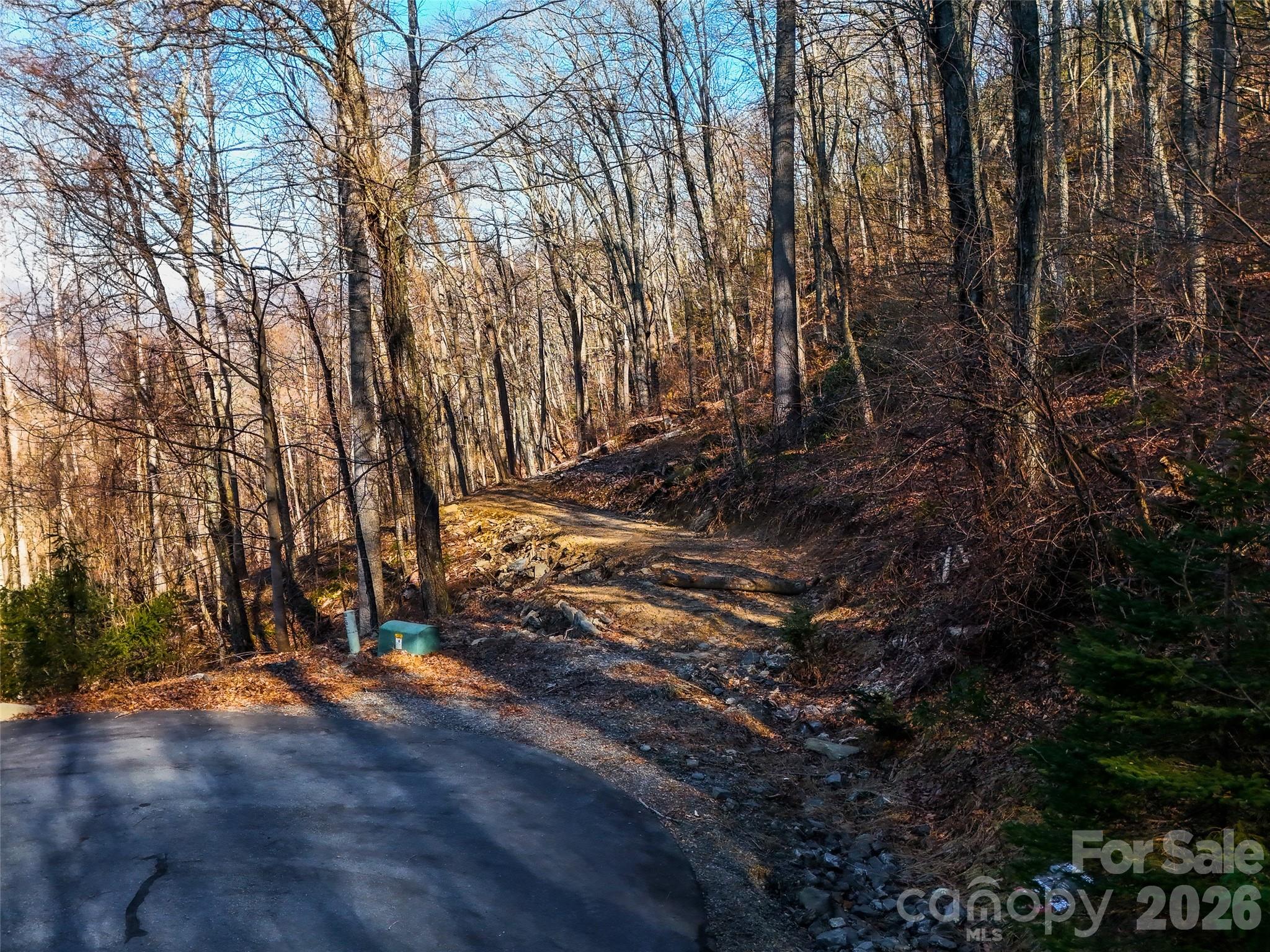 58 & 64 Flora Rose Trail Asheville NC 28803