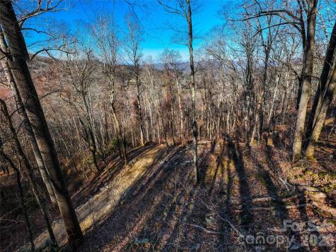58 & 64 Flora Rose Trail Asheville NC 28803