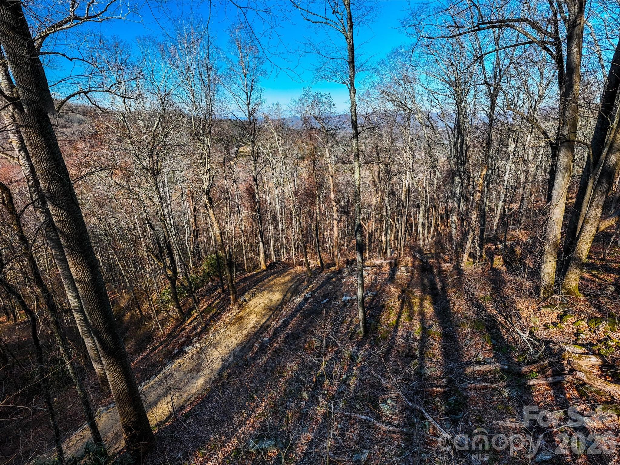 58 & 64 Flora Rose Trail Asheville NC 28803