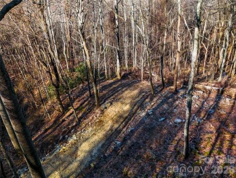 58 & 64 Flora Rose Trail Asheville NC 28803