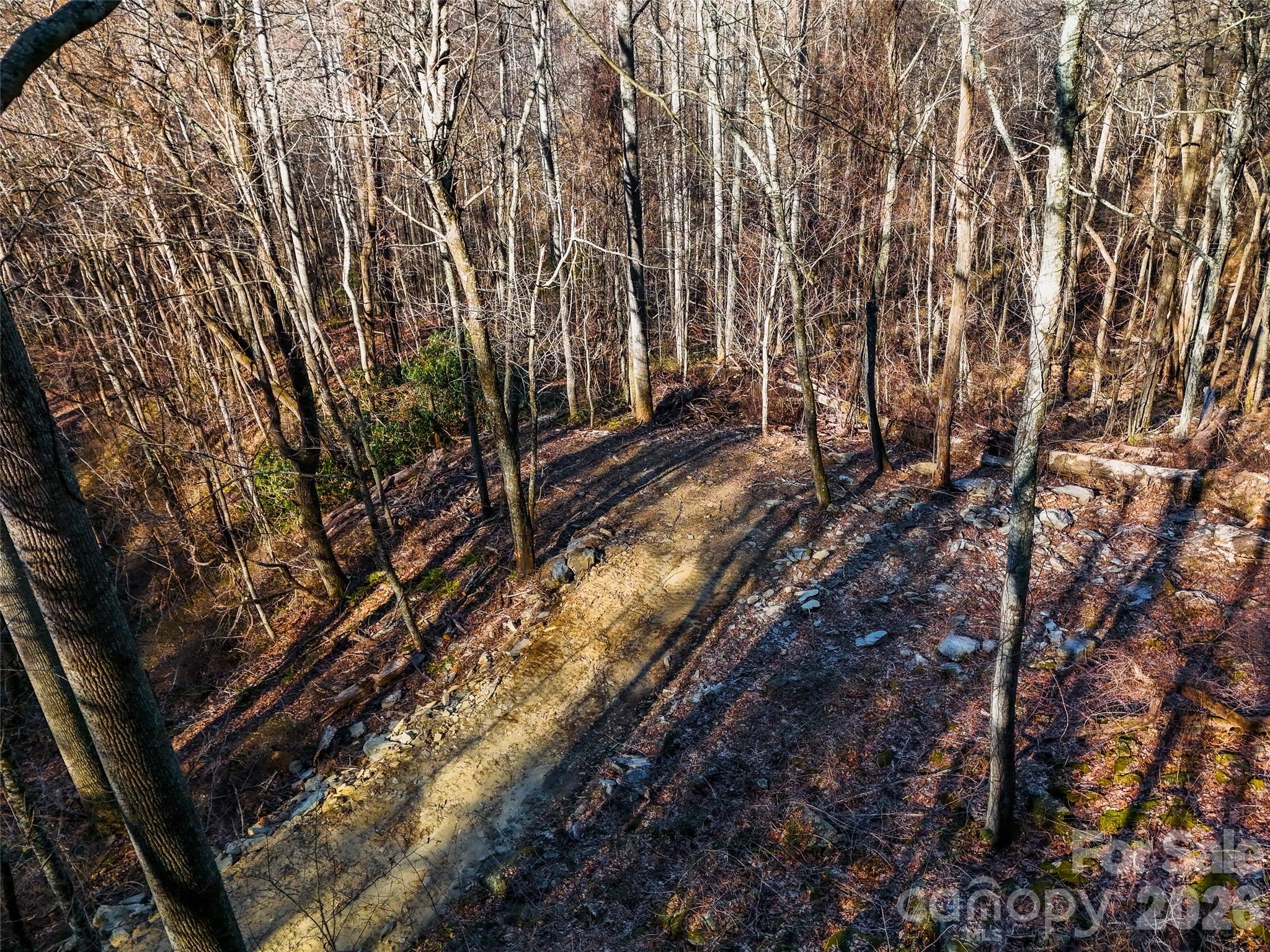 58 & 64 Flora Rose Trail Asheville NC 28803