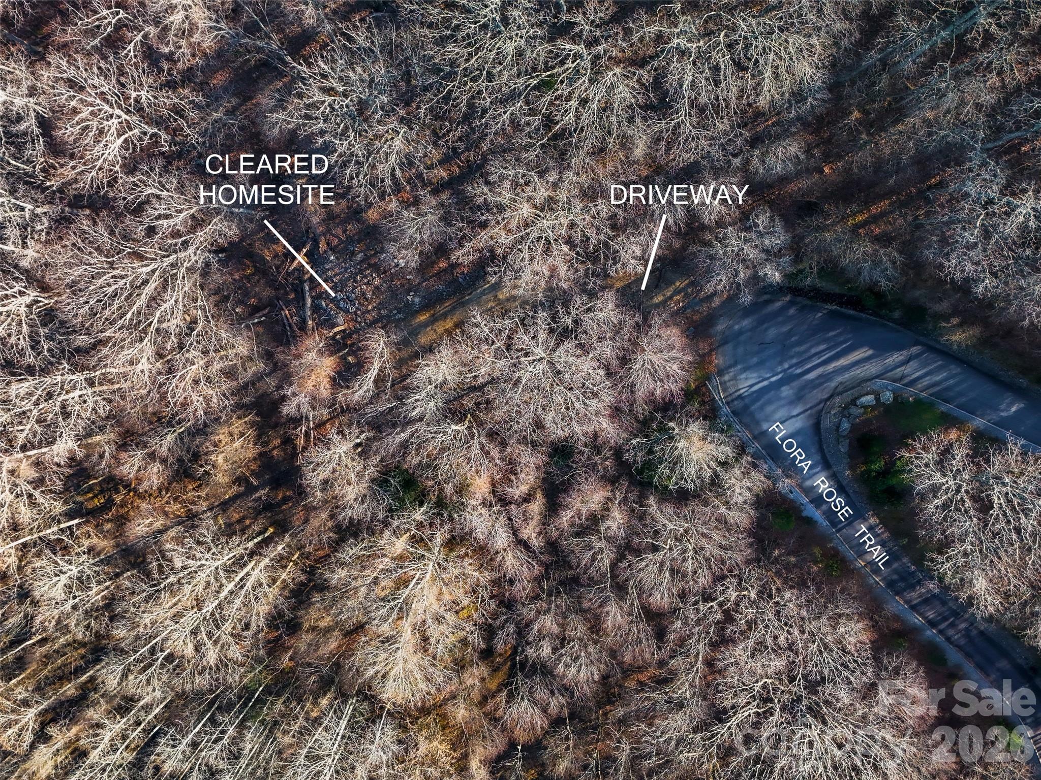 58 & 64 Flora Rose Trail Asheville NC 28803