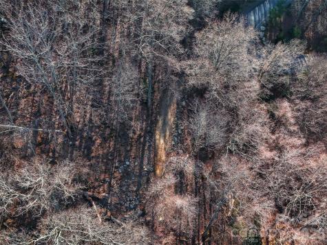 58 & 64 Flora Rose Trail Asheville NC 28803