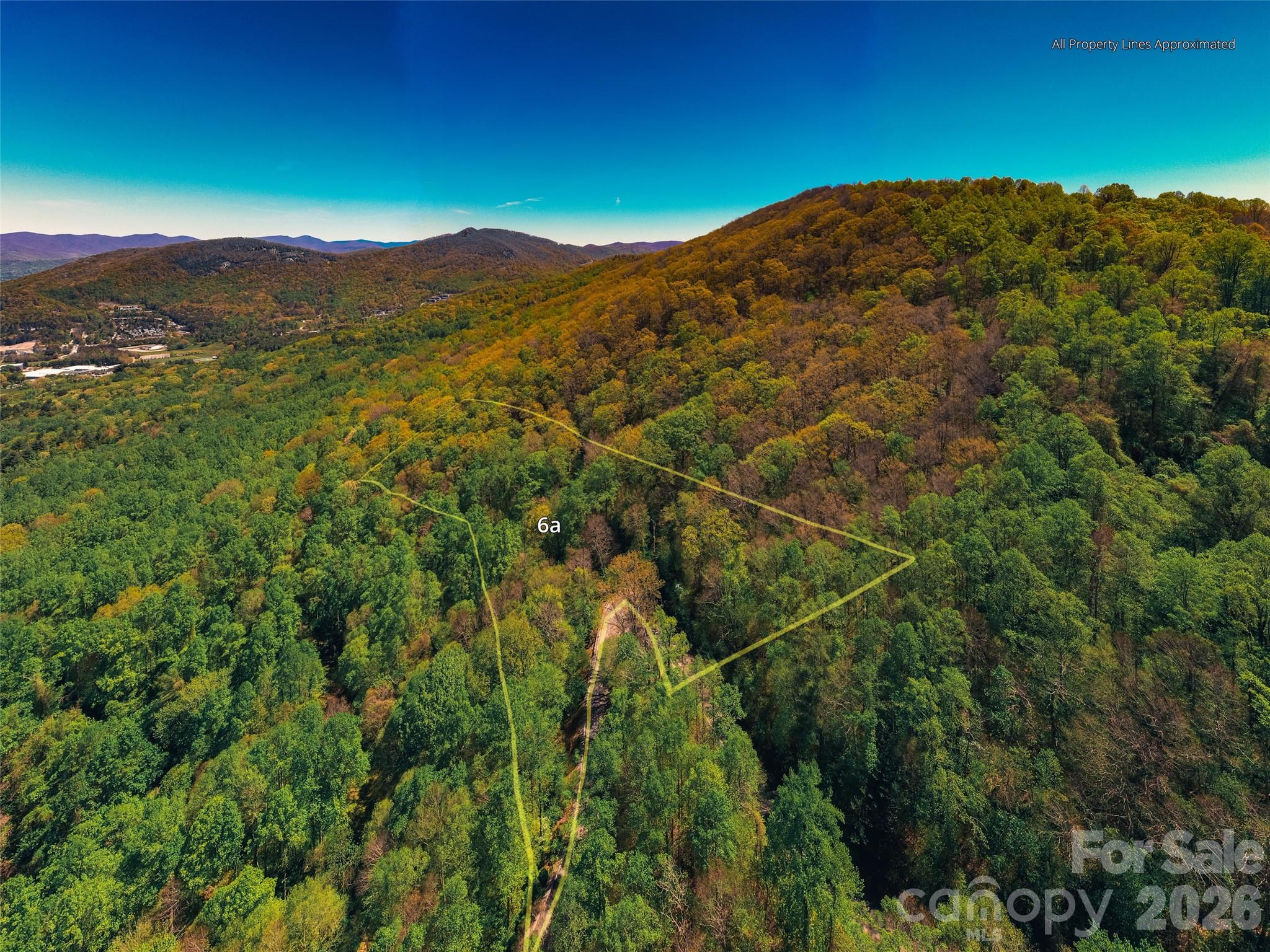 58 & 64 Flora Rose Trail Asheville NC 28803