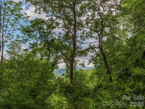 58 & 64 Flora Rose Trail Asheville NC 28803