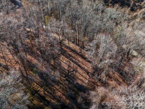 58 & 64 Flora Rose Trail Asheville NC 28803