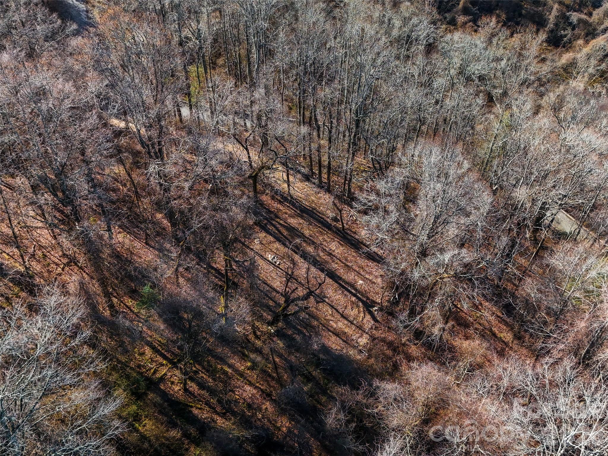 58 & 64 Flora Rose Trail Asheville NC 28803
