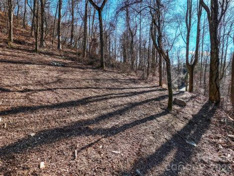 58 & 64 Flora Rose Trail Asheville NC 28803