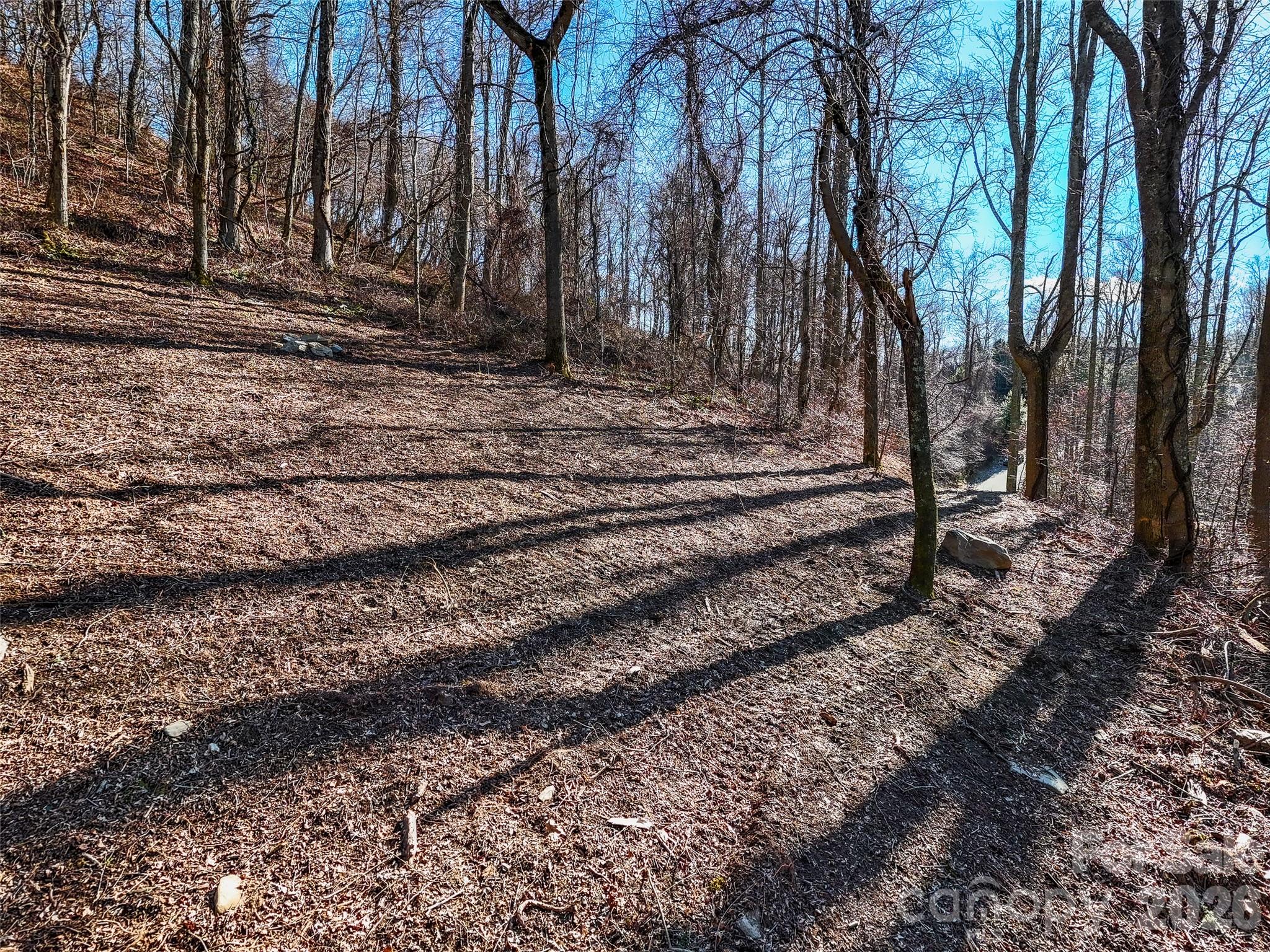 58 & 64 Flora Rose Trail Asheville NC 28803