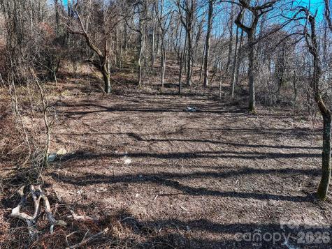 58 & 64 Flora Rose Trail Asheville NC 28803