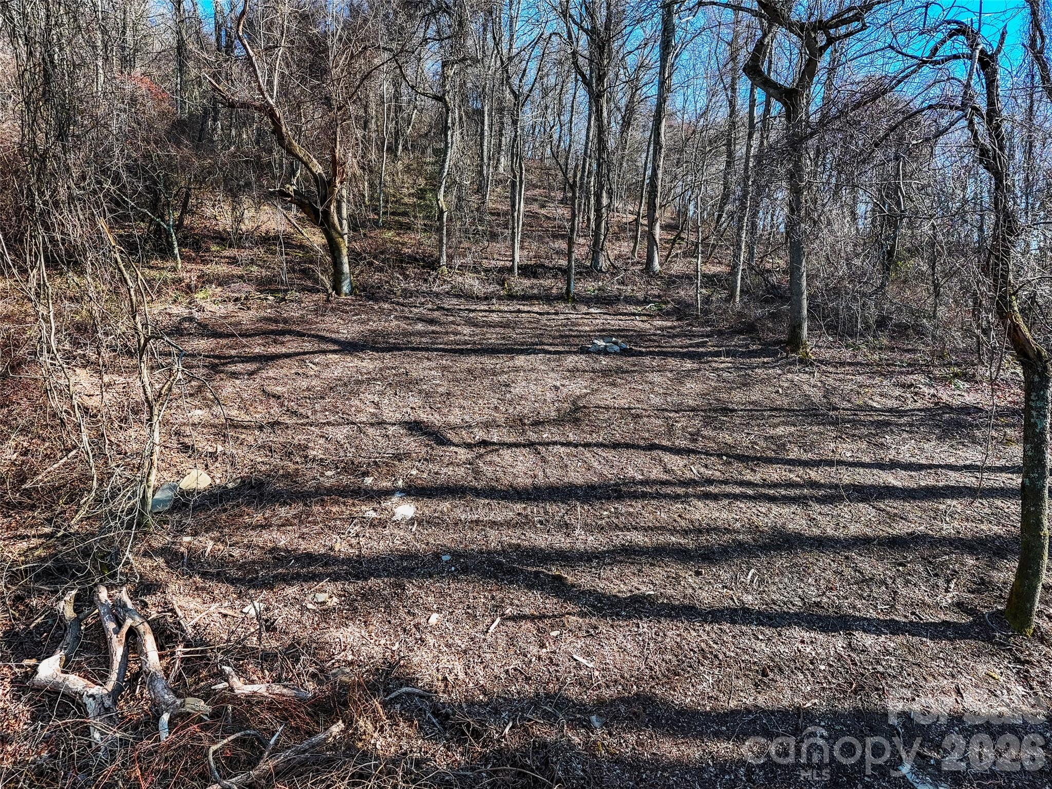 58 & 64 Flora Rose Trail Asheville NC 28803